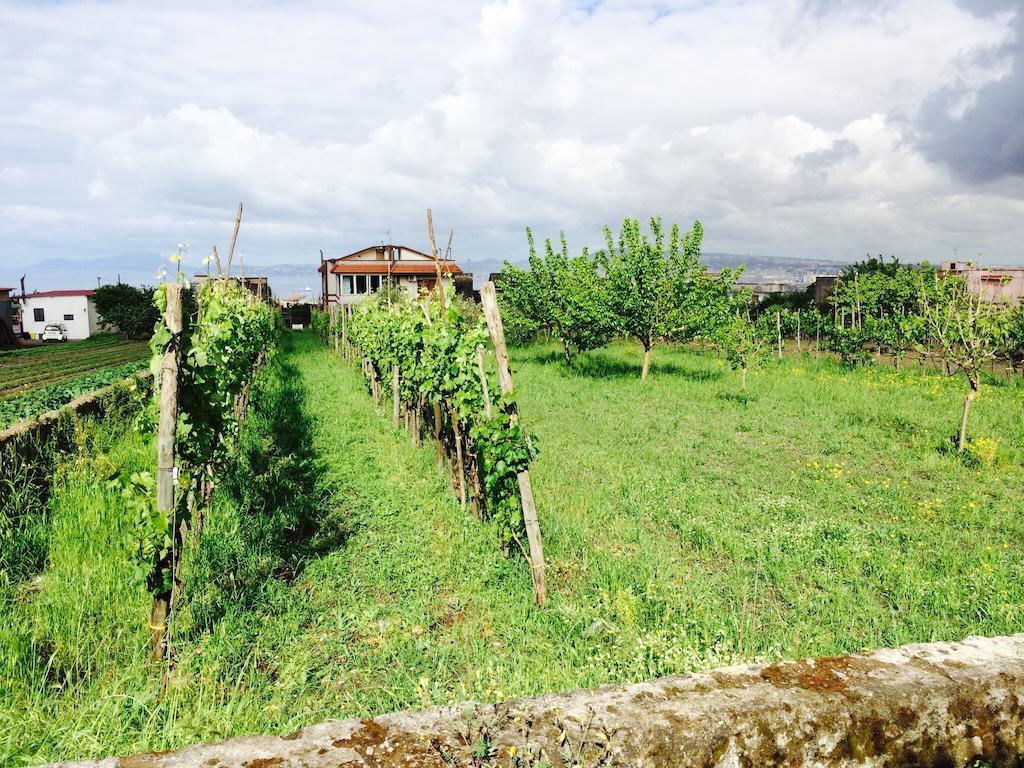 B&B Villa Nunzia Ercolano Eksteriør billede