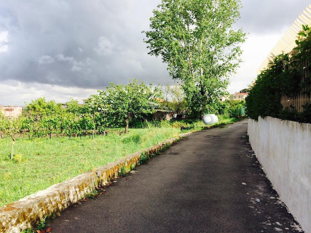 B&B Villa Nunzia Ercolano Eksteriør billede